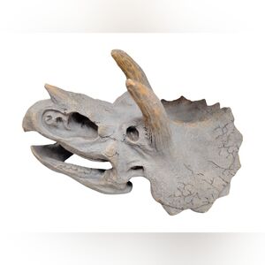 New Reptile Habitat Triceratops Skull Decor - Gray
